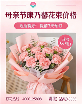 平顶山卫东区花店母亲节康乃馨花束