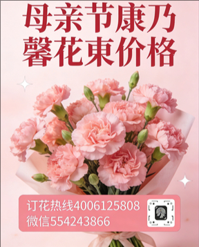 平顶山卫东区花店母亲节康乃馨花束